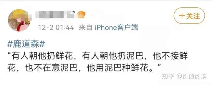 25岁摄影师投海身亡，多少人的一生毁在了「累」上（摄影师死因的照片）