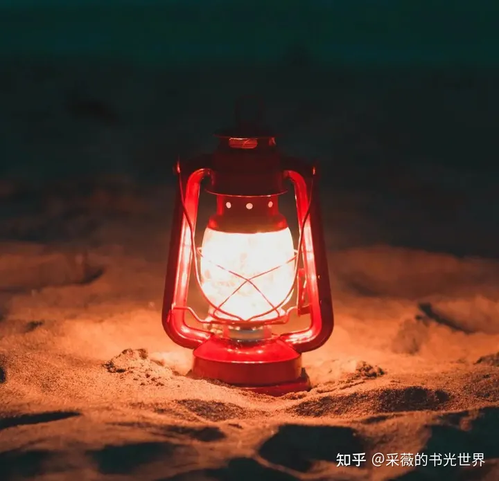 杭州25岁网红摄影师投海身亡：他5000字的遗书，我们都该读读（杭州摄影大师排名前十名）