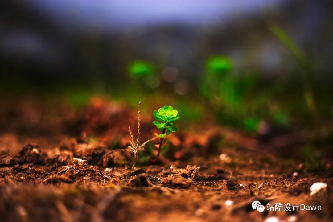 【速看PS】实用200+PS快捷键-ps快捷键教程大全