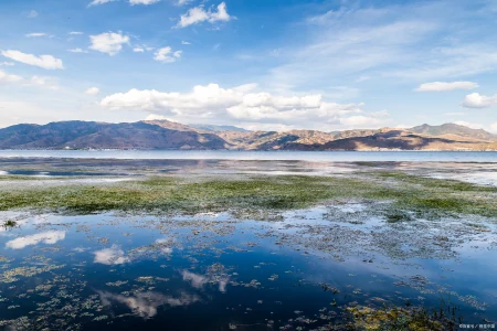 10个卖照片挣钱的网站！让你的爱好变现！-10个卖照片挣钱的网站!让你的爱好变现是真的吗