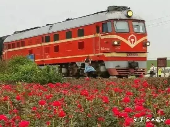 被自拍毁掉的中国游客（苹果手机拍照删掉了怎么办找回）