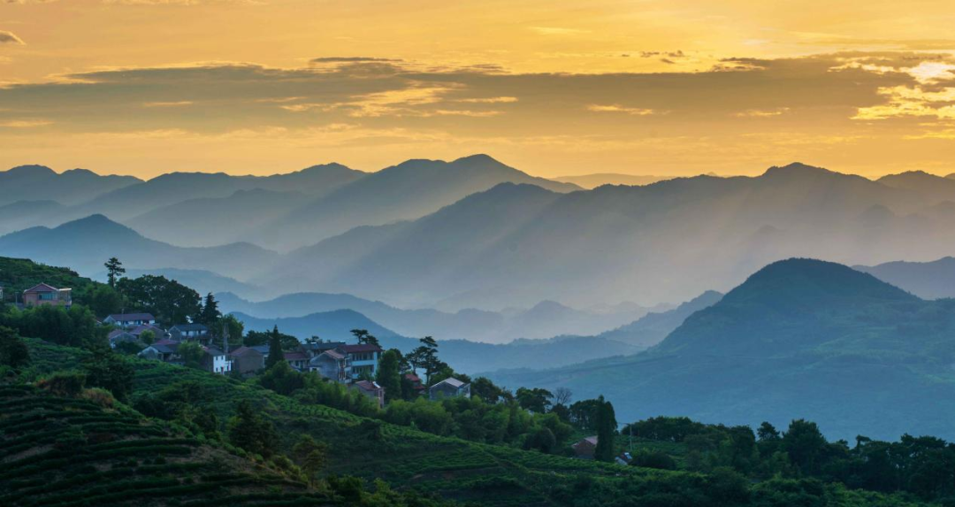 各地网友坐不住了！不服来战→