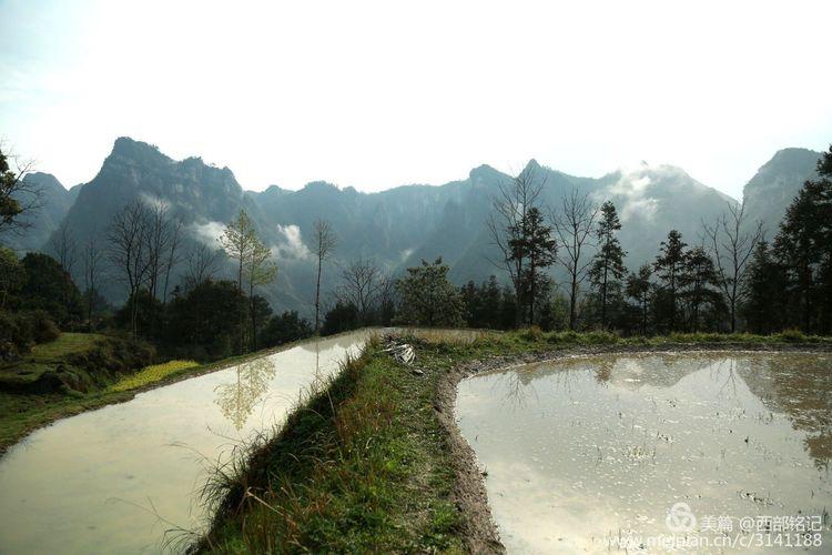 《村花》都是有故事的女人-村花是谁的外号 简历
