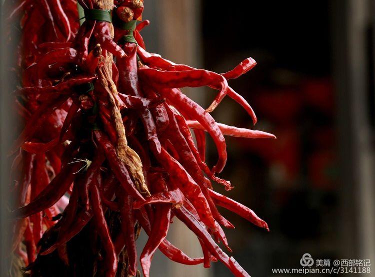 《村花》都是有故事的女人-村花是谁的外号 简历