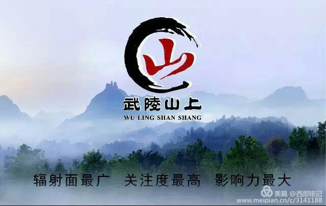 《村花》都是有故事的女人-村花是谁的外号 简历