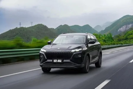 开1000公里为了顿淄博烧烤？油费每公里3毛多，皓极怎么做到的？-淄博烧烤价格