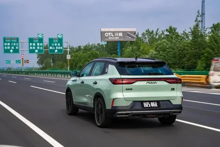 开1000公里为了顿淄博烧烤？油费每公里3毛多，皓极怎么做到的？-淄博烧烤价格