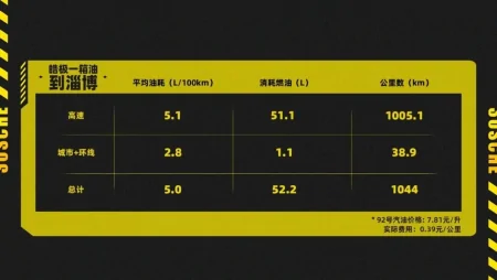 开1000公里为了顿淄博烧烤？油费每公里3毛多，皓极怎么做到的？-淄博烧烤价格