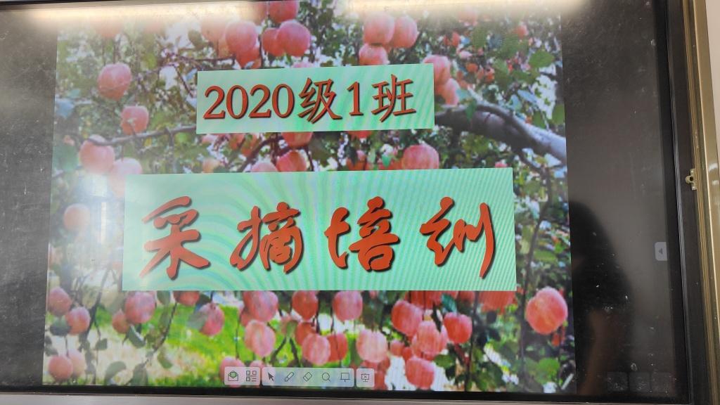 一声“妈”，胜万金！最后一课，青岛一中这群高三生别样谢师恩-青岛一中学校图片高清