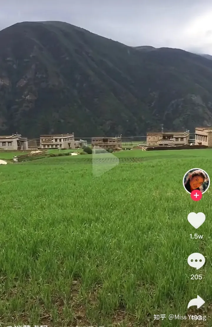 又一个被央视点名的网红？拍个土味视频就带全村脱贫致富，还被夸美若西施（央视走村直播看脱贫主持人）