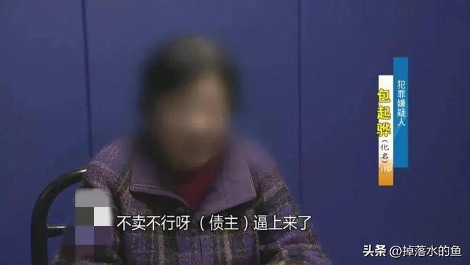 害人害己｜上海一财务为帮儿子还赌债，将公司偷得只剩20块（上海财务顾问公司）