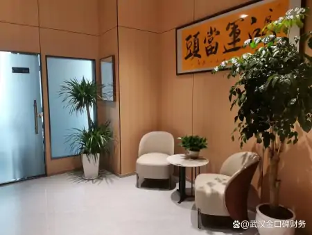 武汉公司财务报表费用是多少（做财务报表怎么收费）