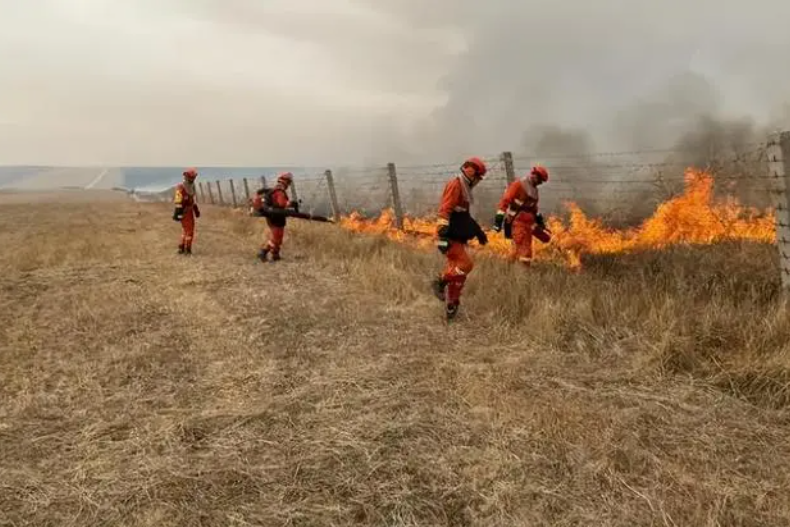 人类的牢笼，动物的地狱：大火中羊群死于边境网，劣猴入园遭群欺-牢笼里的人类图片