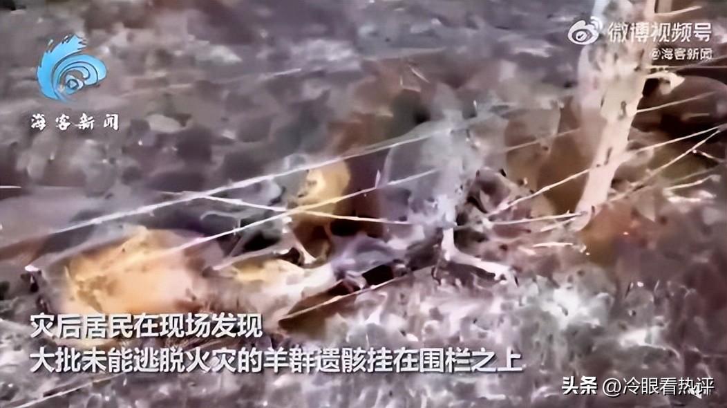 中蒙边境大火燎原，百余头牲畜丧生火海-中蒙边境开放了吗