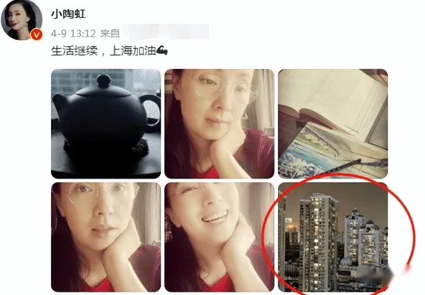 徐峥被实名举报偷漏税！起底徐峥陶虹的惊人资产，远超你的想象（徐峥陶虹一起演的电影）