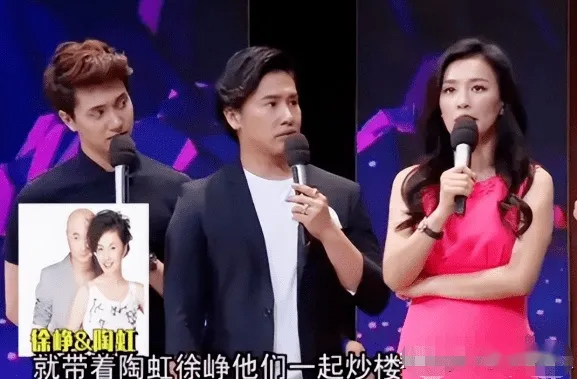 徐峥被实名举报偷漏税！起底徐峥陶虹的惊人资产，远超你的想象（徐峥陶虹一起演的电影）