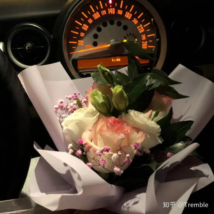 老伙计 好朋友- MINI R56（老伙计对应啥生肖）