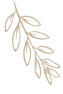 阳山白凤桃，即将上市！-阳山和白凤哪个好吃一点