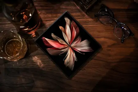 vivo X Fold2 和 X Flip将发布，实力折叠旗舰看点云集-vivofindx2