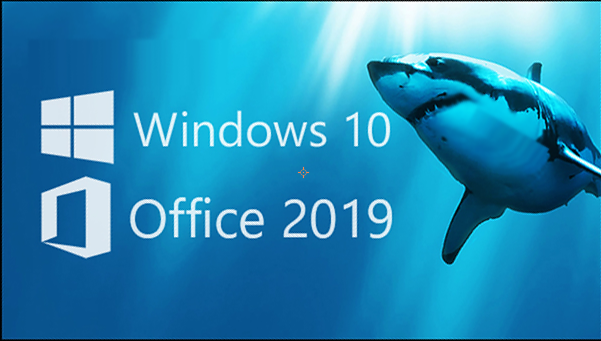 Windows11 Office2019等激活密钥分享-win10office2010激活密钥