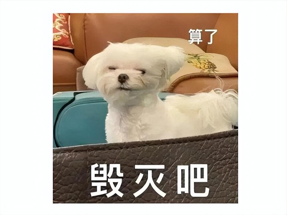 国内第一款免费的网游？开服3年就停运，韩服却坚挺20年仍然火爆-免费的网游哪个好玩推荐