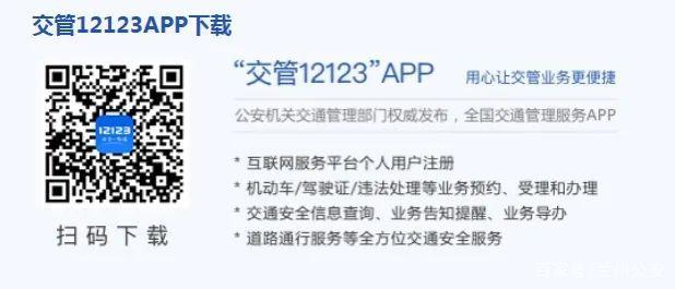 交管12123，手机里的交管业务大厅！-交管12123交管业务大厅