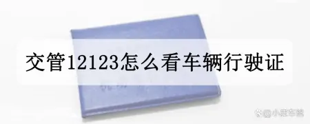 交管12123怎么看车辆行驶证，机动车行驶证电子版12123怎么弄？-行车证怎么查询过户次数