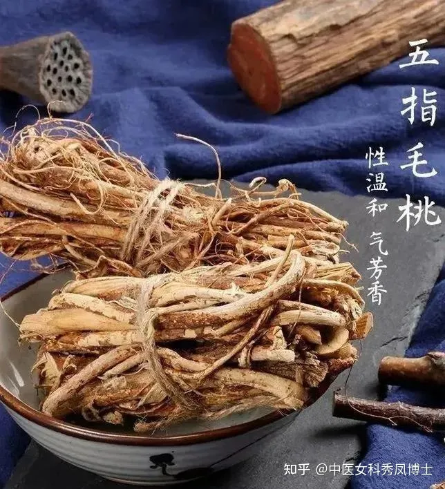 五指毛桃不是桃，红豆薏米不祛湿，40年老药师帮你避开祛湿的坑！-五指毛桃赤小豆薏米煲猪骨