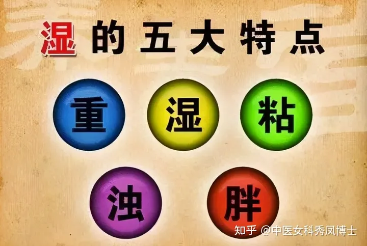 五指毛桃不是桃，红豆薏米不祛湿，40年老药师帮你避开祛湿的坑！-五指毛桃赤小豆薏米煲猪骨