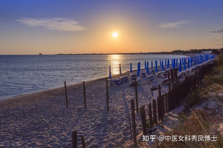 五指毛桃不是桃，红豆薏米不祛湿，40年老药师帮你避开祛湿的坑！-五指毛桃赤小豆薏米煲猪骨