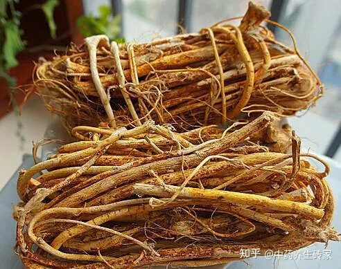 五指毛桃作用原理能用科学解释吗？-五指毛桃有何用