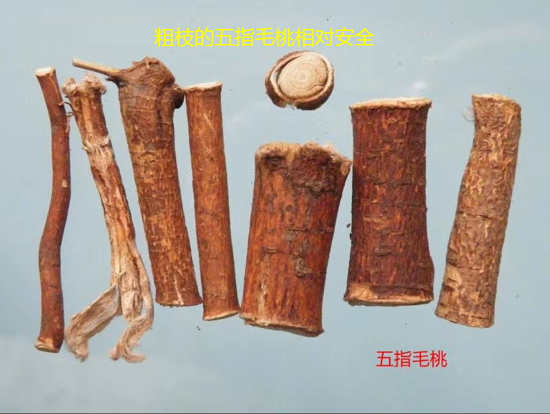 “五指毛桃汤”中毒致命？祸根在这里！街坊们请警惕-五指毛桃汤什么味道