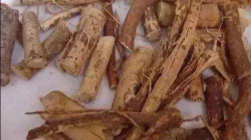 “五指毛桃汤”中毒致命？祸根在这里！街坊们请警惕-五指毛桃汤什么味道