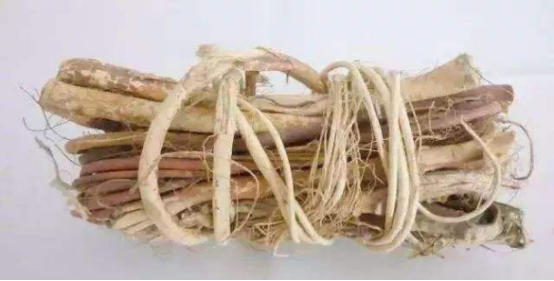 “五指毛桃汤”中毒致命？祸根在这里！街坊们请警惕-五指毛桃汤什么味道