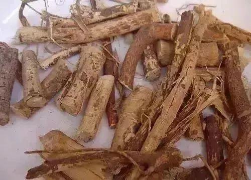 可怕！煲汤放错这个药材分分钟钟中毒！-煲汤的药