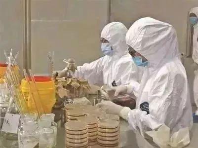 可怕！煲汤放错这个药材分分钟钟中毒！-煲汤的药