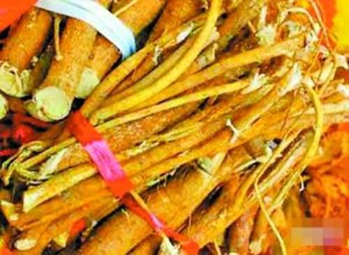 你认识五指毛桃吗？五指毛桃有什么秘密，你知道吗？-五指毛桃 有什么作用