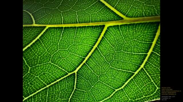 苹果iPhone13发布：性能变强了，性价比真十三香-iphone13性价比高吗