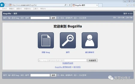 Bug管理工具是什么？-bug管理是什么意思