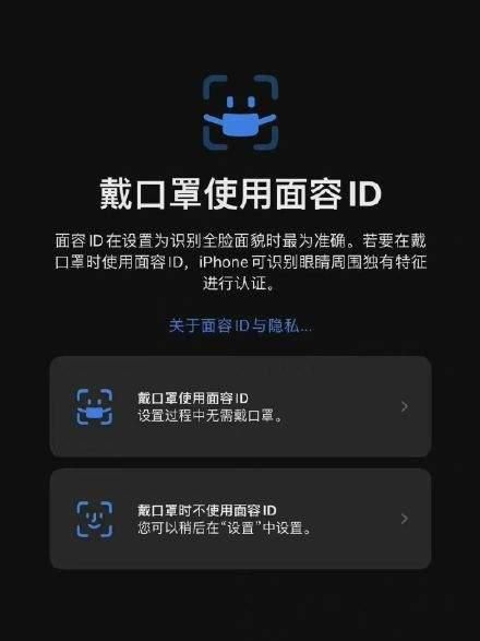 iPhone 终于能戴口罩直接解锁！详细使用指南来了-苹果戴口罩可以解锁了