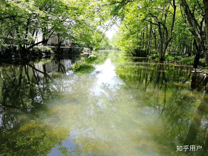 安卓（Android）的原生系统真的那么好用吗？-安卓原生系统有什么好处