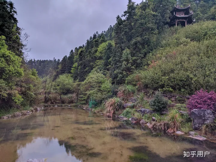 安卓（Android）的原生系统真的那么好用吗？-安卓原生系统有什么好处