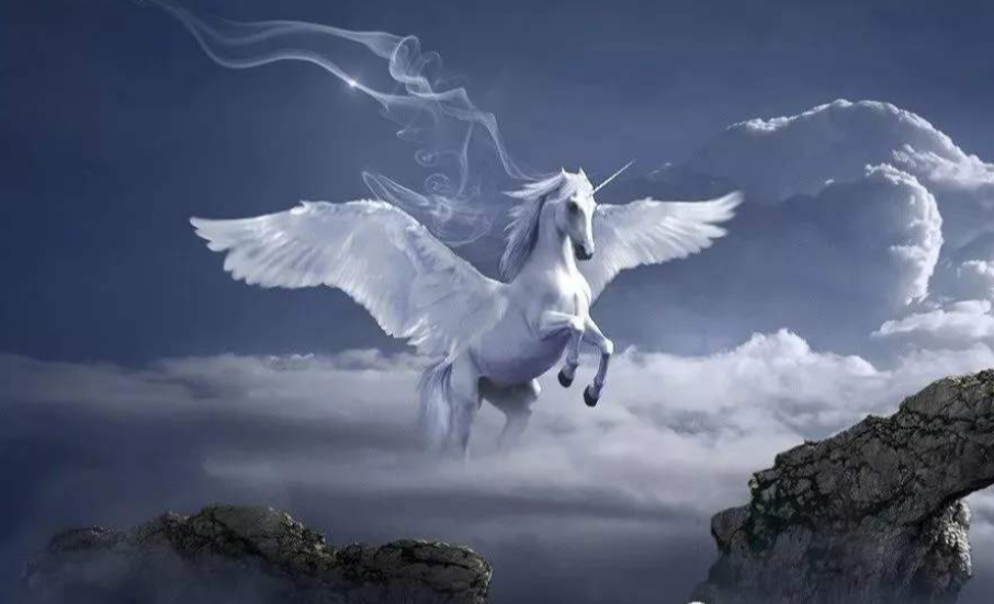 华硕的英文名为什么叫 ASUS？-华硕英文全称