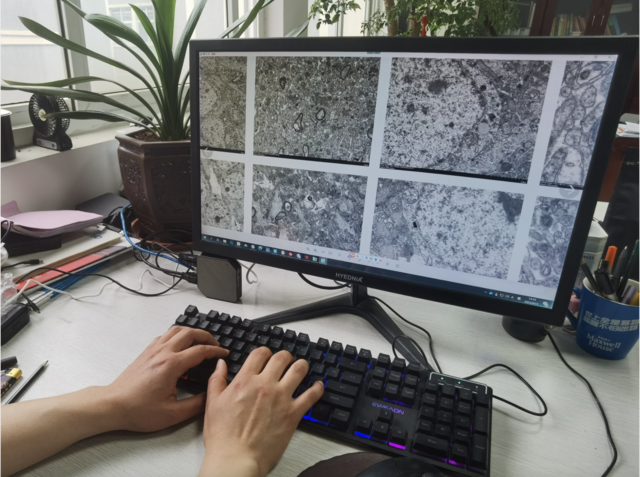 阿里云推出一颗7.8平方厘米、126克的云电脑-阿里云电脑多少钱一台