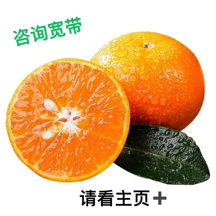 上海办电信宽带的干货分享。你不得不知道的小窍门！-上海电信装宽带