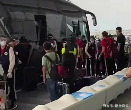 女排回国郎导记录行程很不舍，丁霞让大家辨腿识人，一张图露玄机-女排人员丁霞