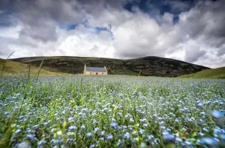 创建WordPress网站的简易指南-wordpress搭建wiki