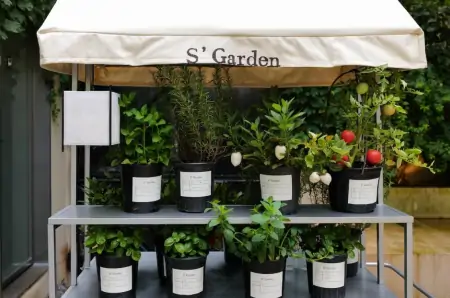 如何用云服务器建立一个wordpress网站？-怎么用云服务器搭建网站