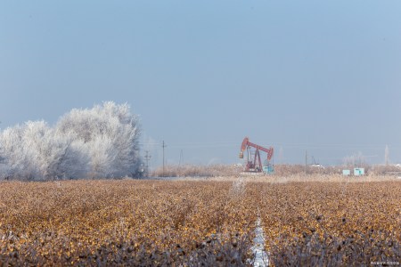 油品平台5月10日油品信息-油品信息网 山东炼厂
