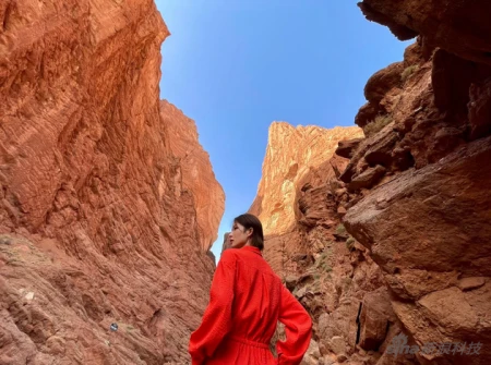 摄影师小北iPhone 12、12 Pro 摄影作品分享-小北手机摄影教程视频